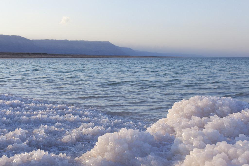 Best Dead Sea salt benefits for pets - Soos Pets