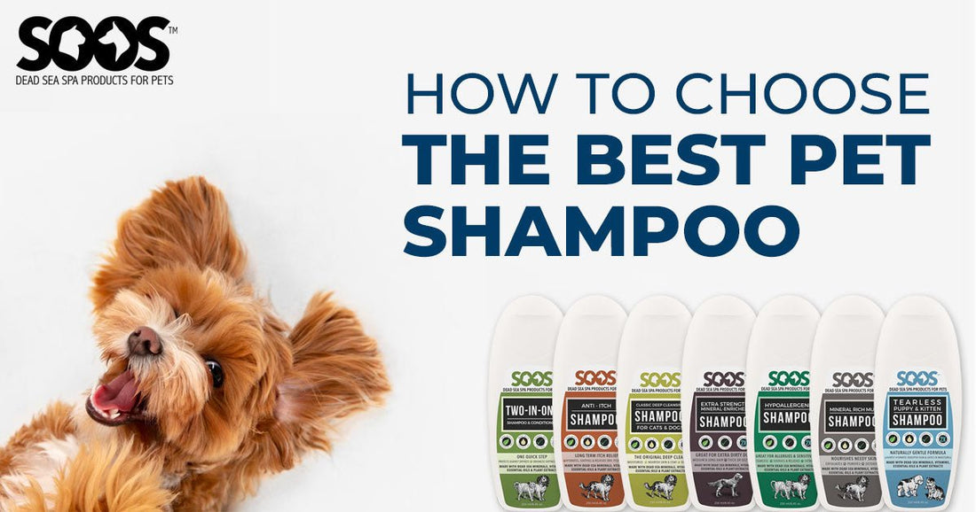 How to Choose The Best Pet Shampoo - Soos Pets