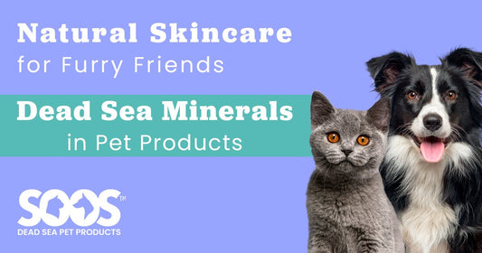 Natural Skincare for Furry Friends: Introducing Dead Sea Minerals in Pet Products - Soos Pets