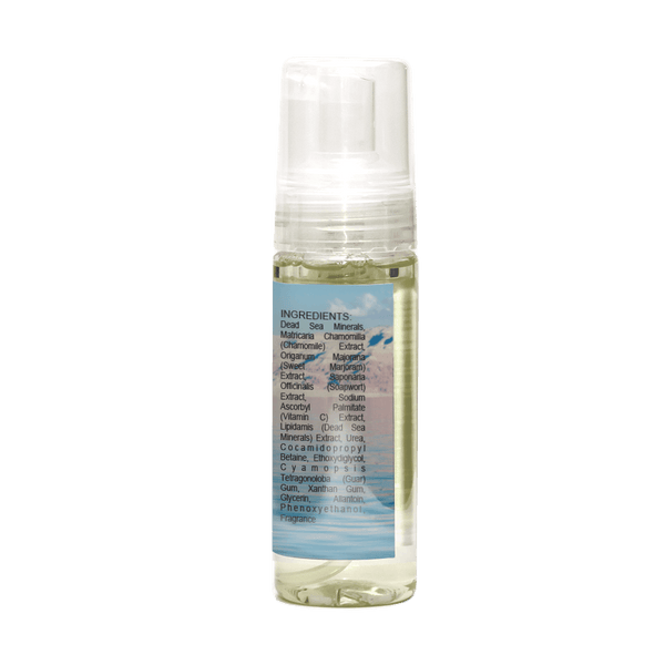 Dead Sea No-Rinse All-In-One Wash Foaming Soap - Soos Pets