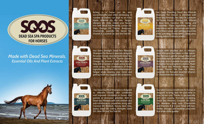 Soos Dead Sea Mud Shampoo For Horses - Soos Pets