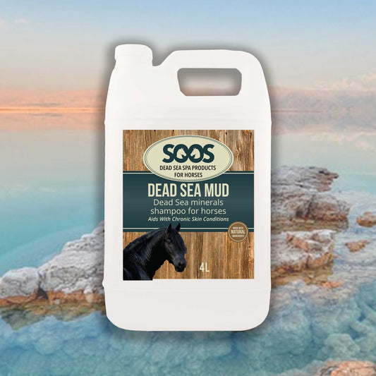 Soos Dead Sea Mud Shampoo For Horses - Soos Pets
